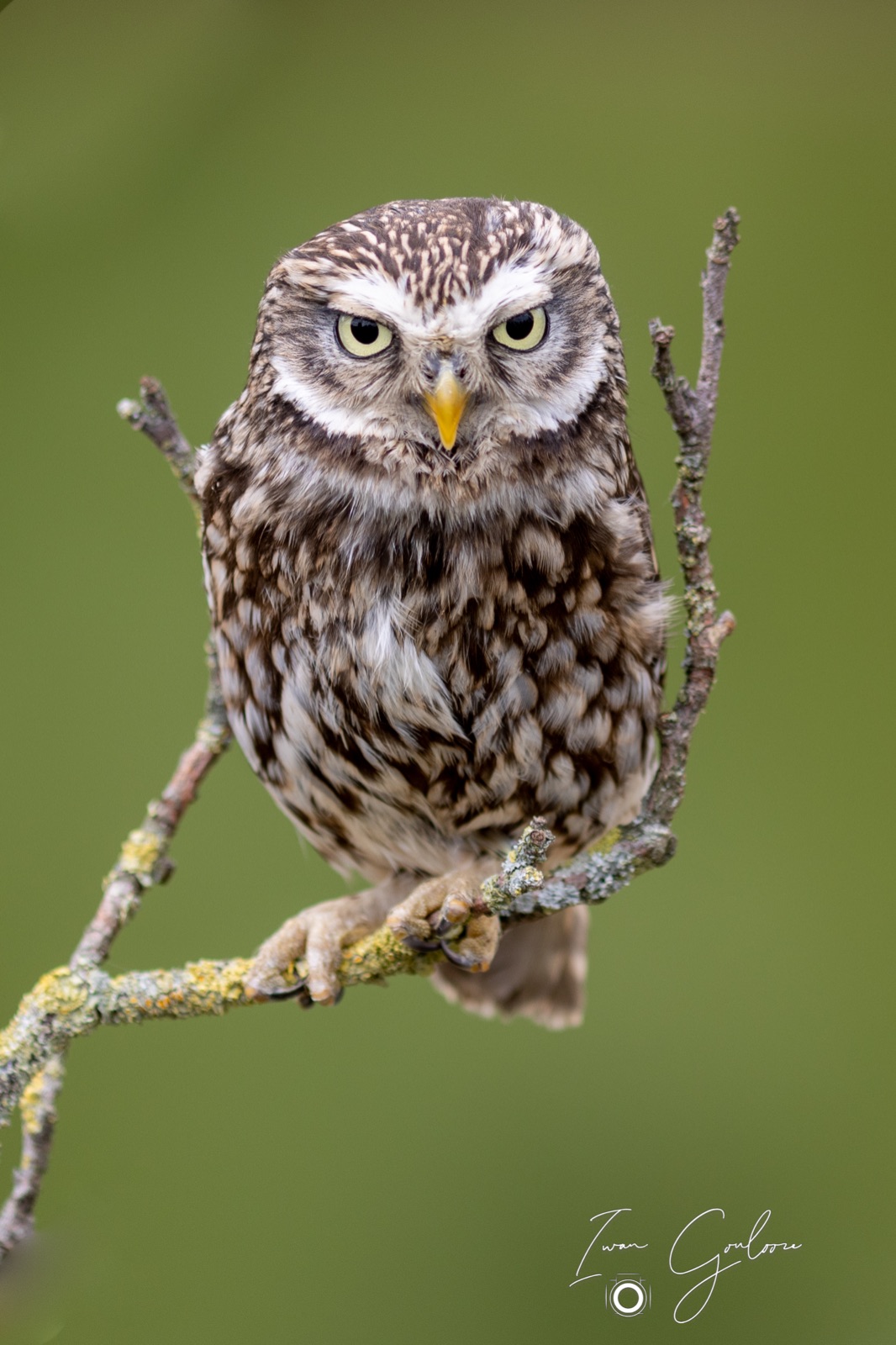 25 juni 2022 133236 1R2A0074